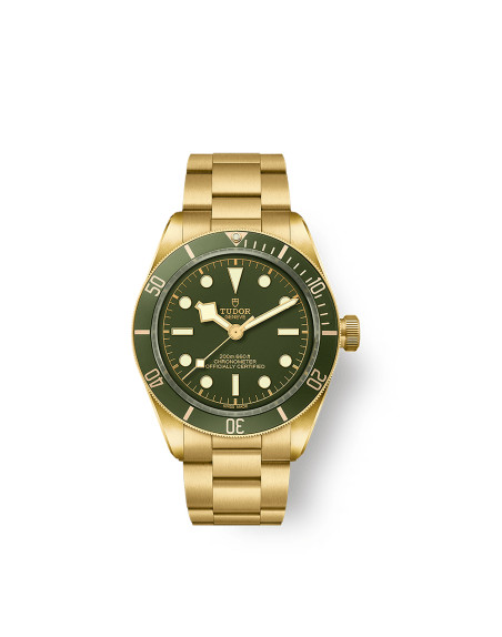 Montre Tudor Black Bay 58 automatique cadran vert bracelet or jaune 18K 39 mm