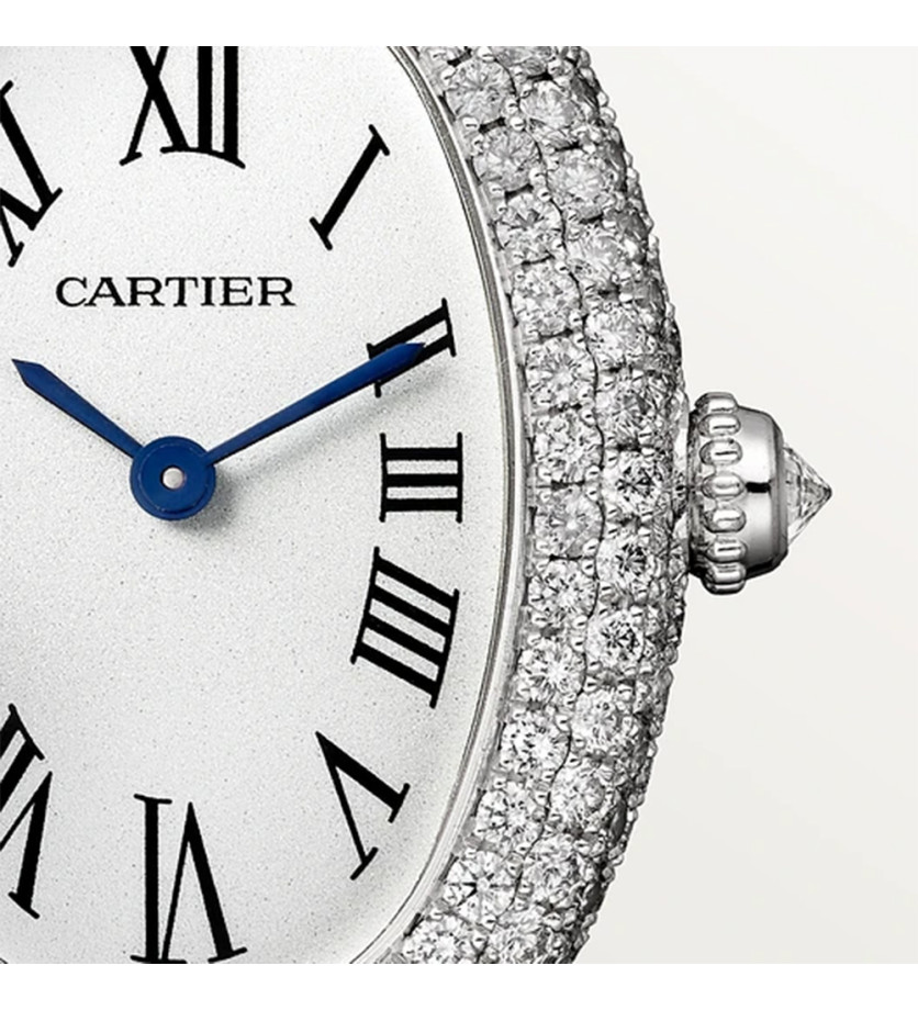 Montre Baignoire de Cartier