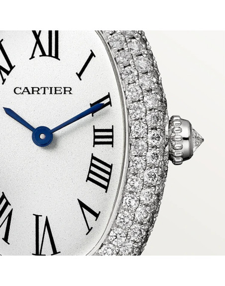 Montre Baignoire de Cartier